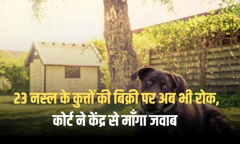 Dogs Banned in Delhi: 23 नस्ल के कुत्तों की बिक्री पर अब भी रोक, कोर्ट ने केंद्र से माँगा जवाब