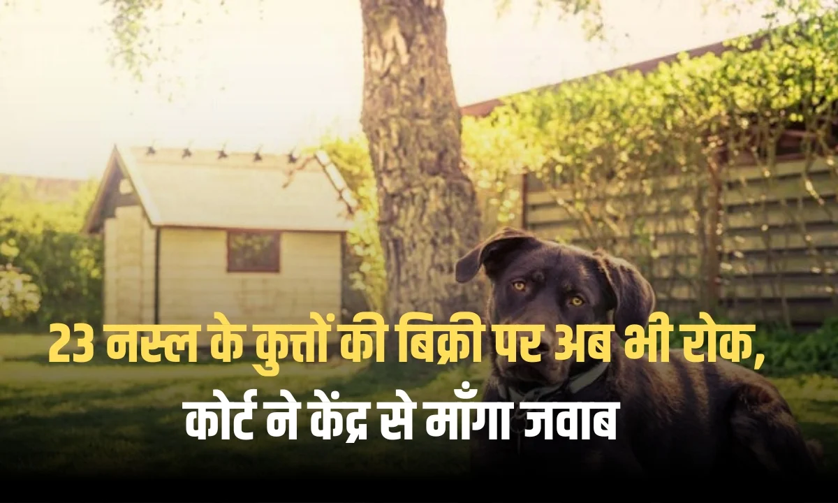 Dogs Banned in Delhi: हाल ही देश में 23 "क्रूर" कुत्तों की नस्लों पर बैन लगाया गया था
